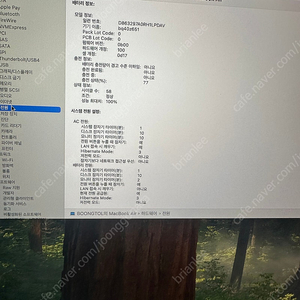 [판매] 맥북에어 M2 15인치 / SSD 256GB / RAM 8GB / 스타라이트 색상