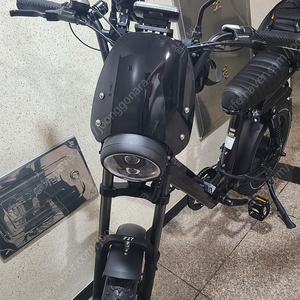 바이로와일드 S / 전기자전거 / 자토바이