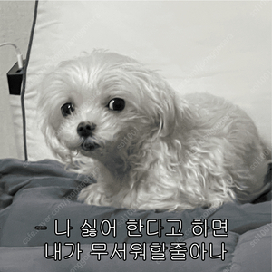 네이버페이 93% 삽니다
