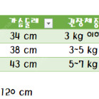 귀여운 강아지 공룡 하네스