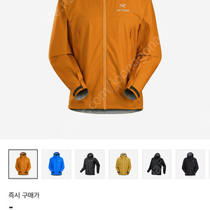 아크테릭스 베타 자켓 M 레벨