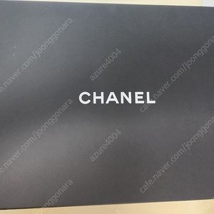 샤넬 쉐브론 클래식 미듐 팜