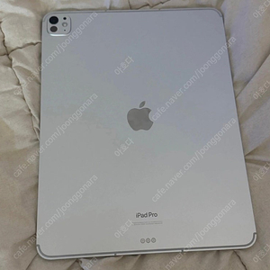 아이패드 프로 M4 13인치 셀룰러 256GB 실버