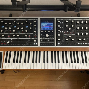moog one 16 voice