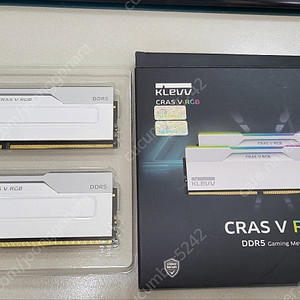 게이밍 메모리 RAM DDR5 64GB(32GBx2) 6000MT/