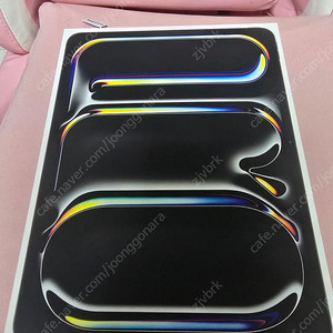 아이패드 프로 13 M4 WIFI 256g 스페이스블랙 팝니다.