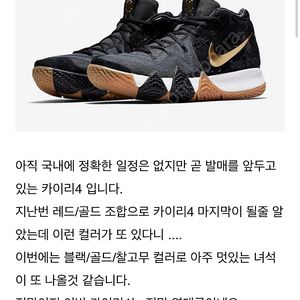 나이키 카이리4 피치 블루 농구화(나이키 지티컷 줌프릭 교환 가능