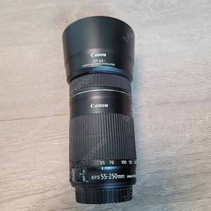 캐논 ef-s 55-250mm is stm 망원렌즈