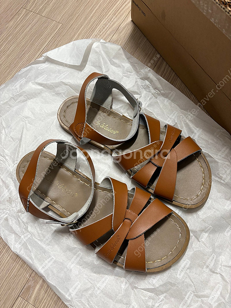 솔트워터 쏠트워터 탄 6사이즈--0