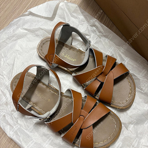 솔트워터 쏠트워터 탄 6사이즈