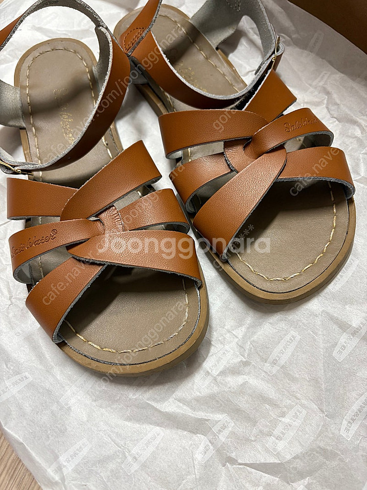 솔트워터 쏠트워터 탄 6사이즈--1