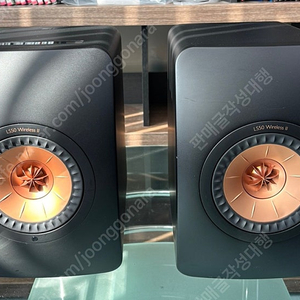 [판매] 케프 (KEF) 북셸프스피커 LS50 Wireless II 2