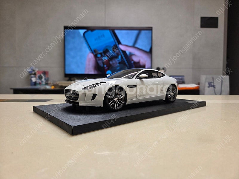 1:18 재규어--0