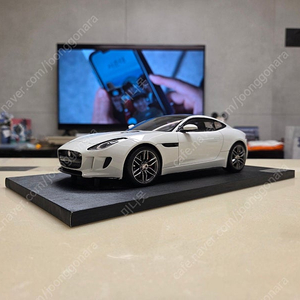 1:18 재규어