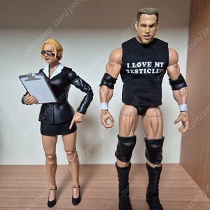 wwe 피규어 정리합니다 (5차)