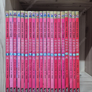 마법천자문 20권 택포