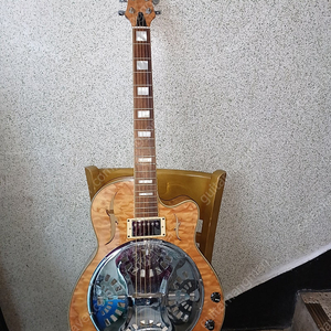 마이클 켈리 도브로 기타( Dobro Guitar, Resonator Guitar)