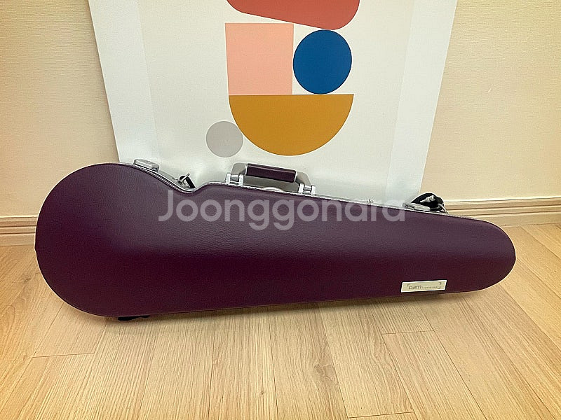 바이올린 400호 + 뱀 케이스 레뚜왈 바이올렛 팝니다--1