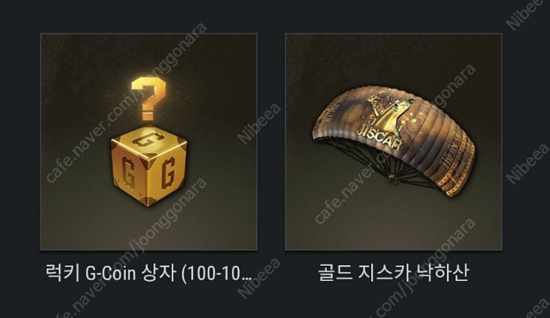 배틀그라운드 지스카 낙하산 랜덤 지코인 상자 쿠폰 코드