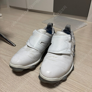 풋조이 골프화 투어 알파 265