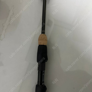 세인트 올 뉴 레전드 팬피쉬64lxf
