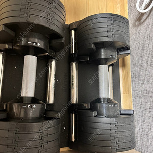 멜킨 롤튼 아령 24kg 2개+접이식 인클라인 벤치 판매합니다