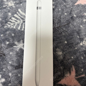 애플펜슬1세대