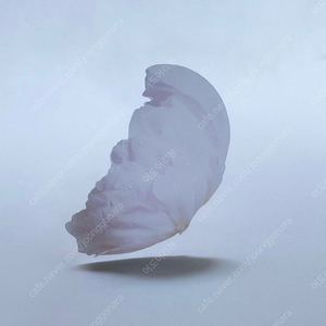 (미개봉) 한정판 이옥토 작약 책갈피 포함 처음 본 새를 만났을 때처럼 꽃