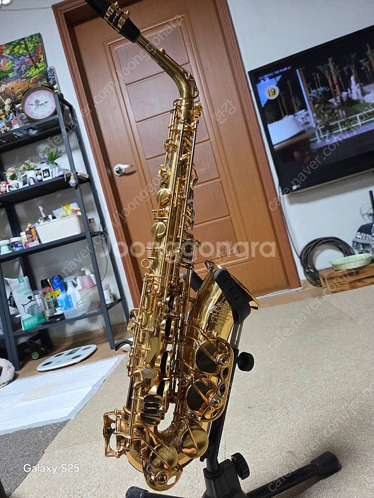 벨톤 알토색소폰 BT.A-25--1