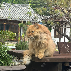 씨유 상품권 8500