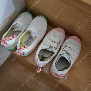 노베스타 키즈 31사이즈