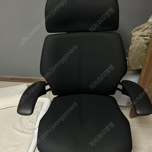 휴먼스케일 프리덤체어 로투스 [부산]