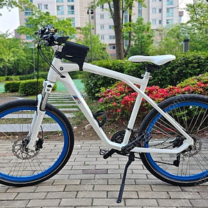 BMW 크루즈 자전거 화이트