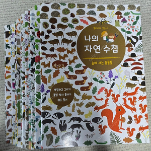 별똥별 나의 자연 수첩
