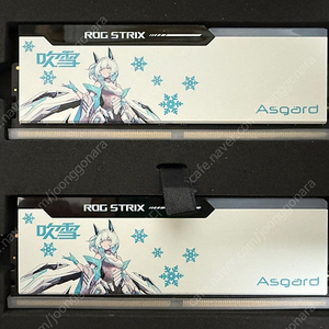 Asgard ROG STRIX DDR5 32GB (16*2) 6400 CL32 1.35V