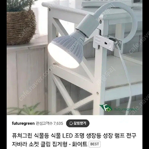 식물등 자바라 소켓