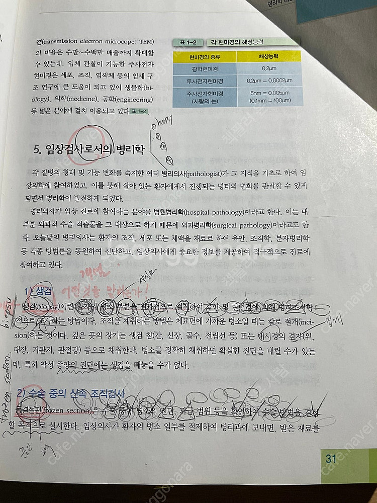 수문사) 최신병리학--2