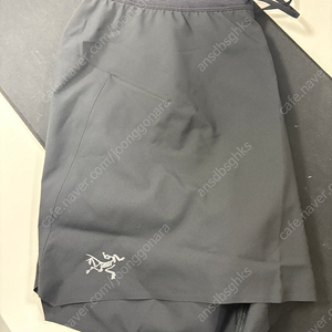 아크테릭스 5“ 노반 쇼츠 블랙 S