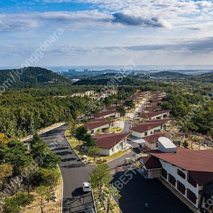 [ 켄싱턴리조트 외 ] 2025.05 ~ 07 확보분