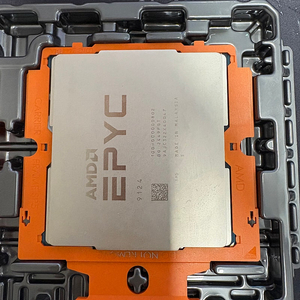 ADM EPYC 9124 Dell Locker