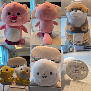 새상품 택달린 인형 대량판매(잔망루피/우소우소짱/미피/모후샌드/산리오/짱구/공오리등등)