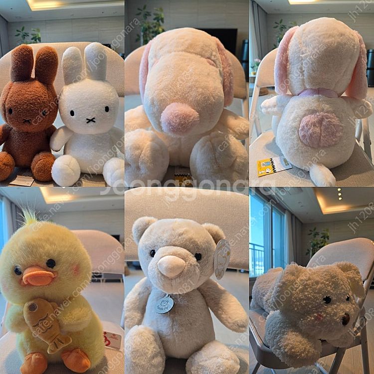 새상품 택달린 인형 대량판매(잔망루피/우소우소짱/미피/모후샌드/산리오/짱구/공오리등등)--4