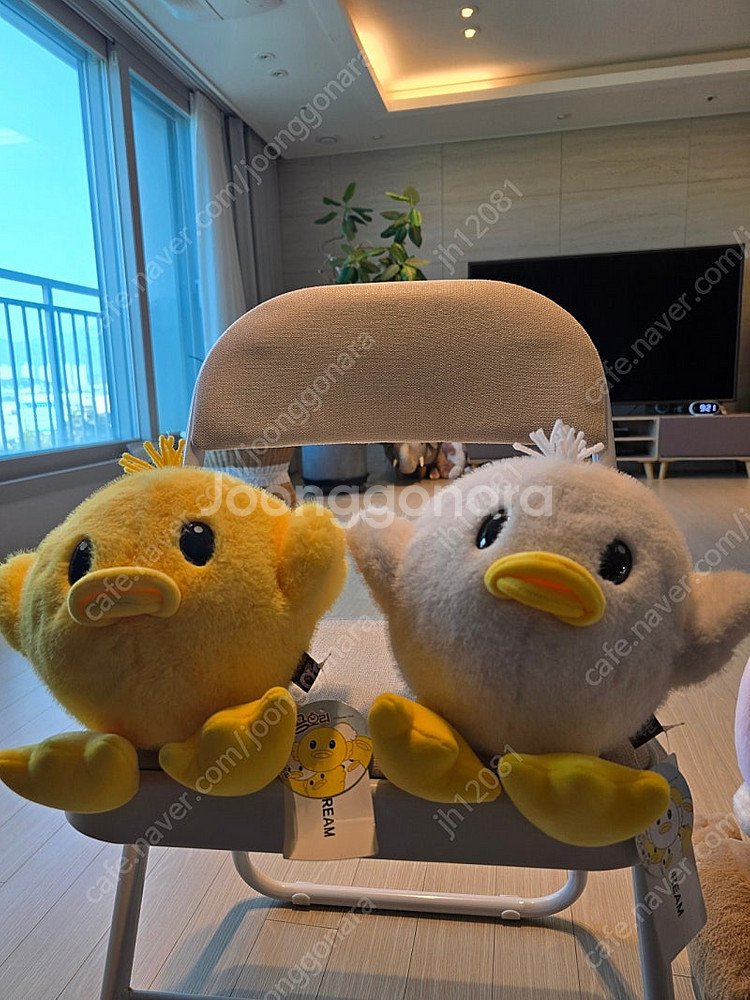 새상품 택달린 인형 대량판매(잔망루피/우소우소짱/미피/모후샌드/산리오/짱구/공오리등등)--9