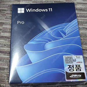WINDOW11 윈도우11 PRO FPP 미개봉 USB