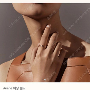 에르메스 아리안 로즈골드 52호