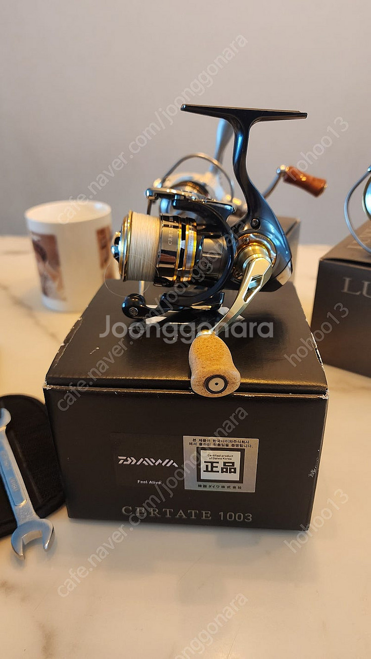 13세르테이트1003--0