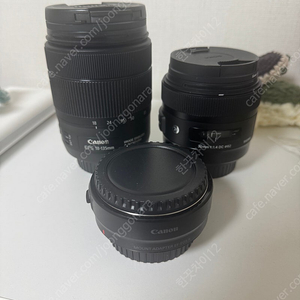 캐논 EF-S 18-135mm f3.5-5.6 IS USM + SIGMA A 30mm F1.4 DC HSM 캐논마운트 + ef eos r