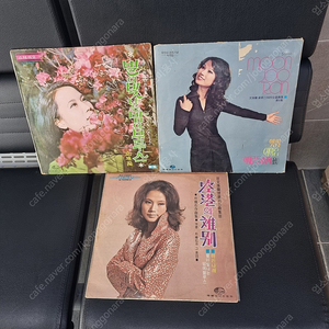 문주란 3장 LP.
