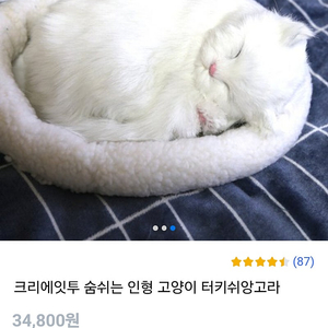숨쉬는 인형 고양이 터키쉬앙고라