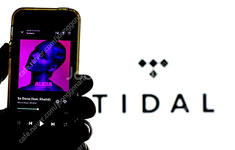 타이달 tidal 최고등급계정 파티원 구함--0